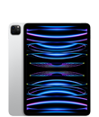 iPad Pro 11-in. (4th generation)