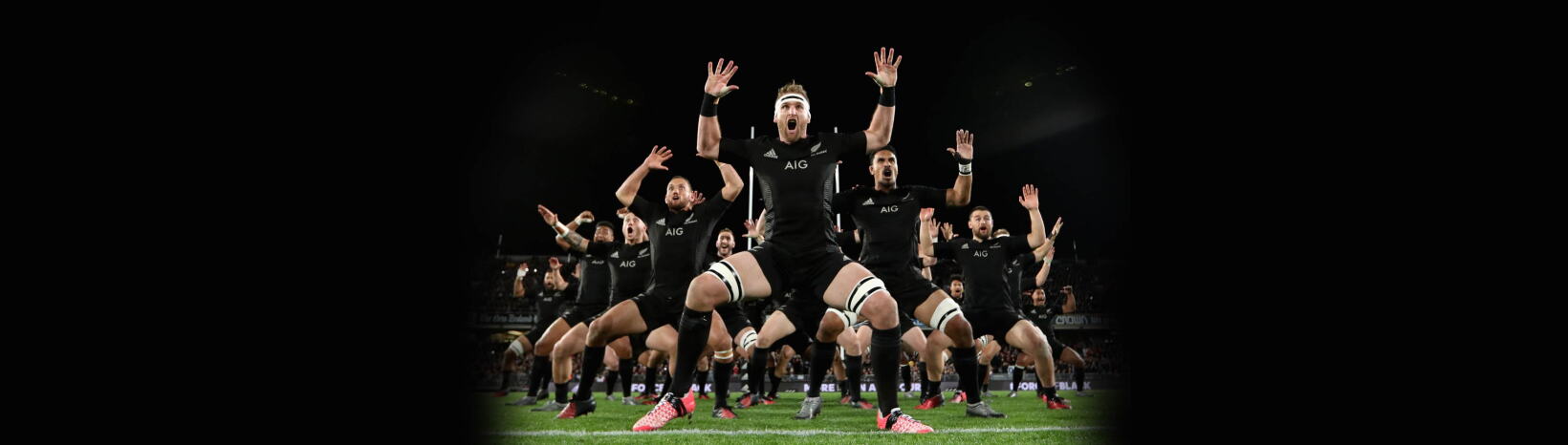 Rugby fans chomp through data during Lions Series 