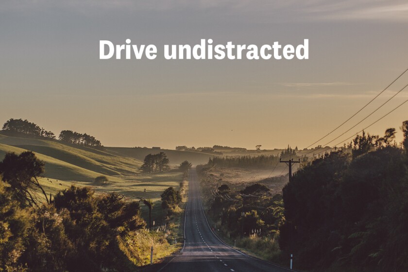 driver distraction on kiwi road with brand logos