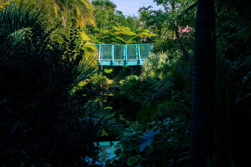 A blue bridge across a stream surrounded by greenery, located in the Hamilton Gardens