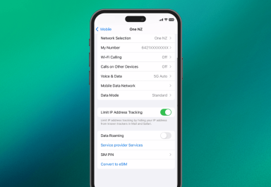 Step 1 of eSIM Quick Transfer on Apple on your current iPhone or iPad.