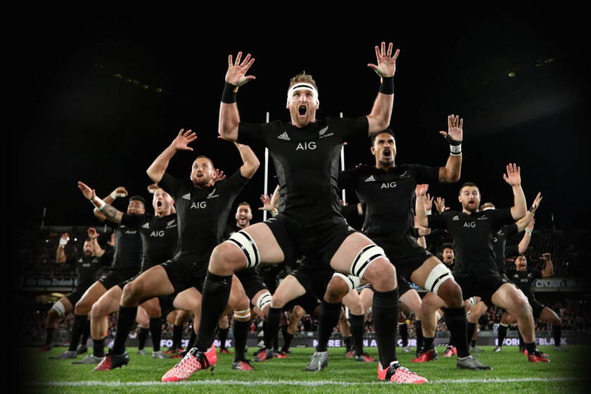 Rugby fans chomp through data during Lions Series