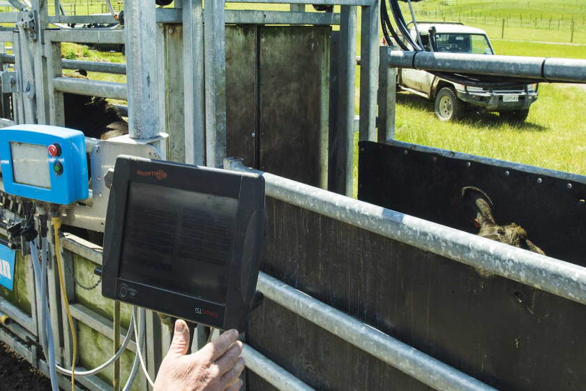 Vodafone puts improved productivity into the hands of Kiwi farmers