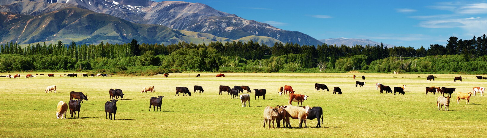 Bigger, faster Rural Broadband hits New Zealand