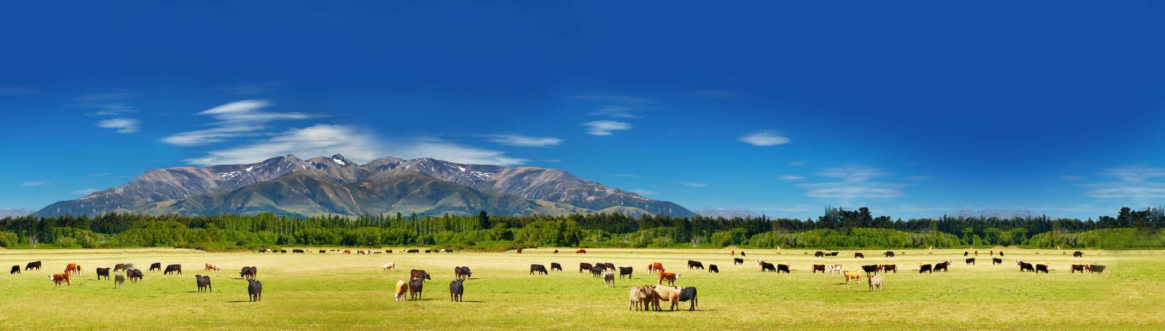  Vodafone calls on rural Kiwis to check their coverage