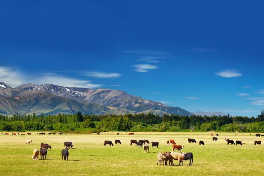  Vodafone calls on rural Kiwis to check their coverage
