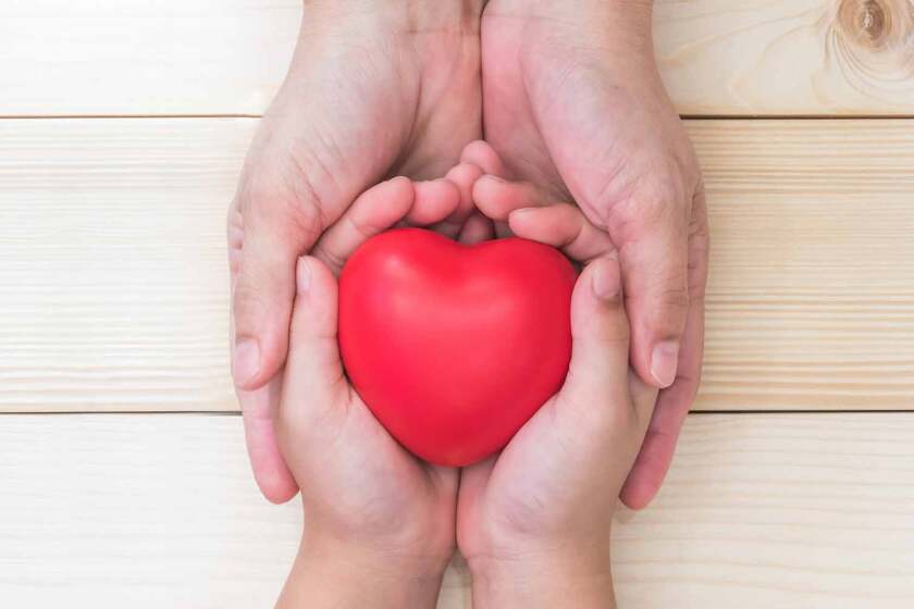 Vodafone New Zealand Foundation calls on registered charities to apply for $250,000 of innovation grants