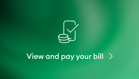 Phone and coin icon with view and pay your bill text