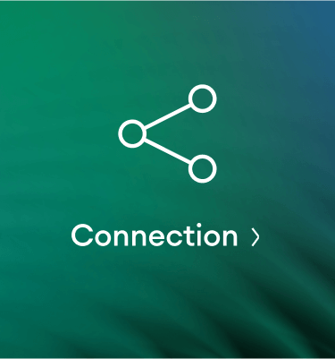 Network Connection icon.