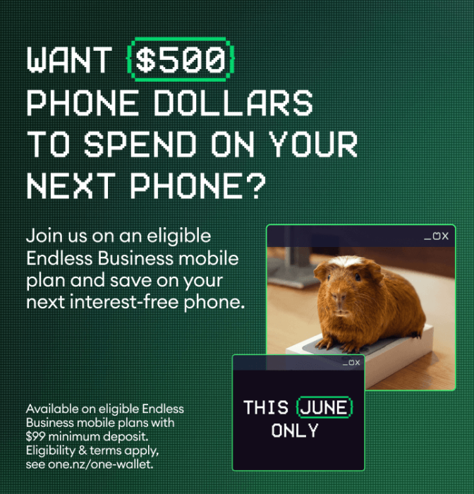 Want $500 phone dollars to spend on your next phone? Join us on an eligible Endless Business mobile plan and save on your next interest-free phone.