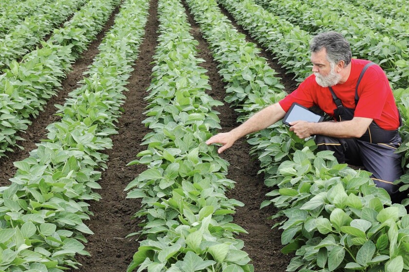 No data drought – Vodafone doubles data for rural customers