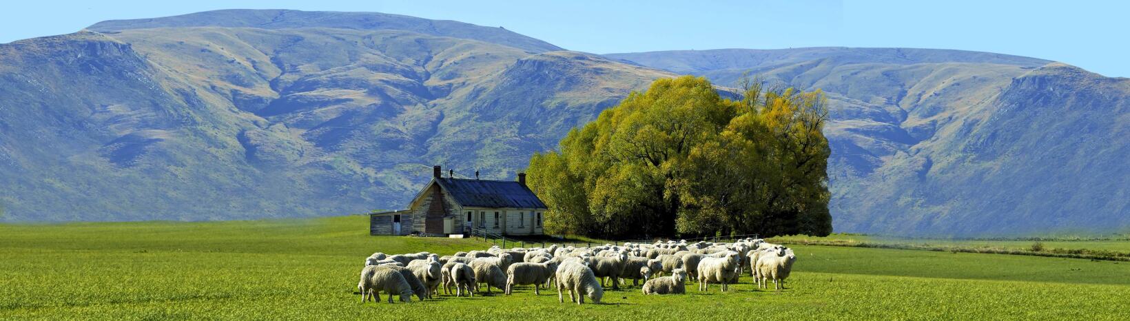 Vodafone New Zealand completes transaction deal to acquire 70 per cent stake in Farmside