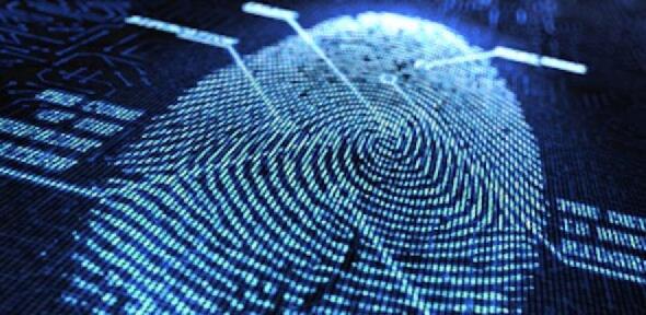 A digital fingerprint.