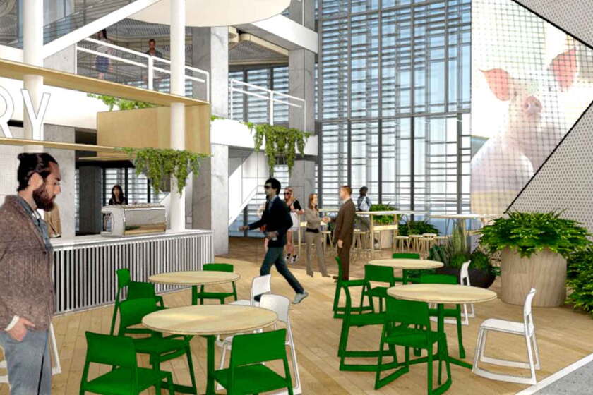 Vodafone announces vision to create one Auckland home in exciting new innovation precinct at Smales Farm