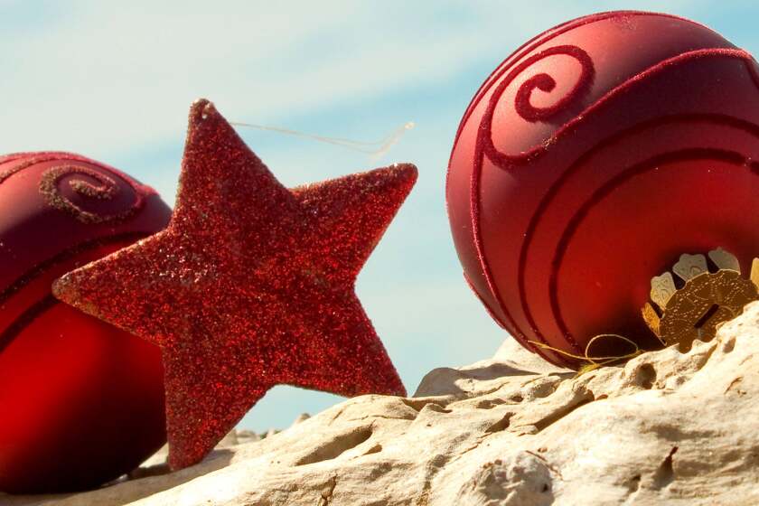 Kiwis’ data use reveals connected Christmas cheer