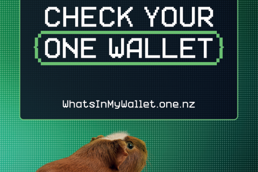 Simon the guinea pig says Check your One Wallet.