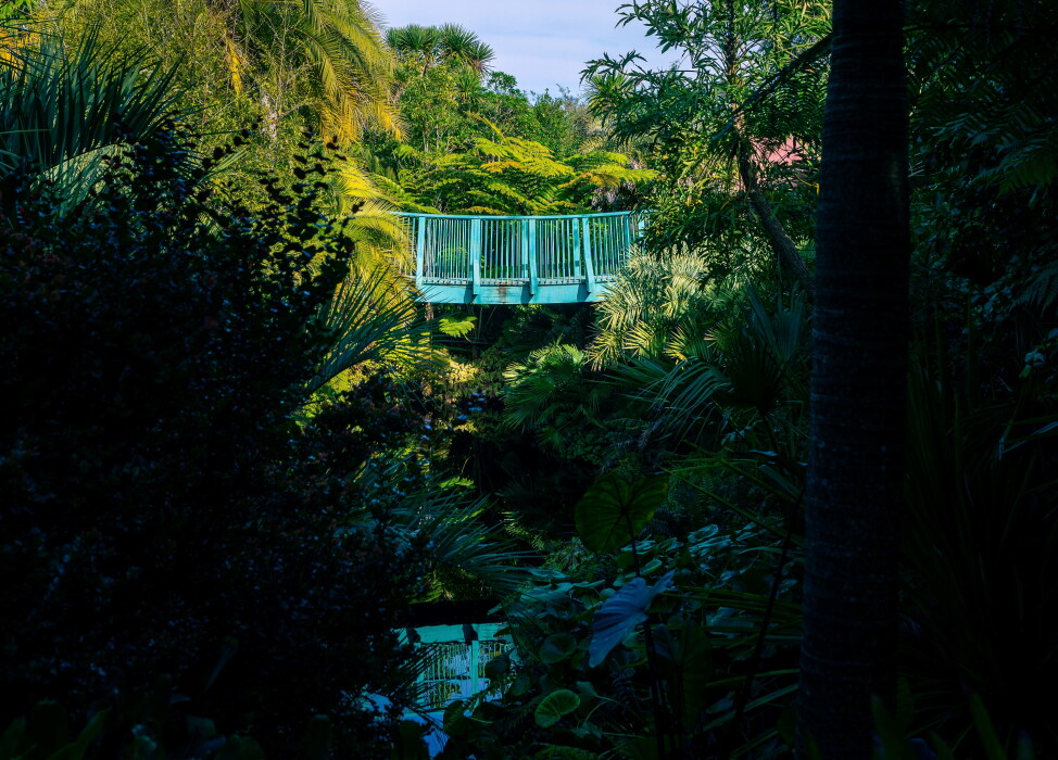 A blue bridge across a stream, located in the Hamilton Gardens.
