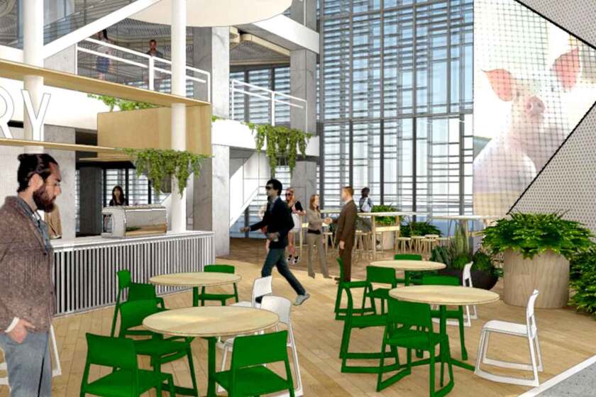 Vodafone announces vision to create one Auckland home in exciting new innovation precinct at Smales Farm