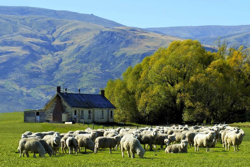 Vodafone New Zealand completes transaction deal to acquire 70 per cent stake in Farmside