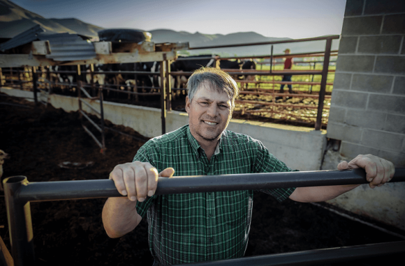 Person standing near a cattle enclosure on a farm