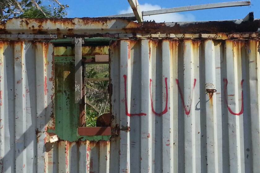 An Instant Network in time of need