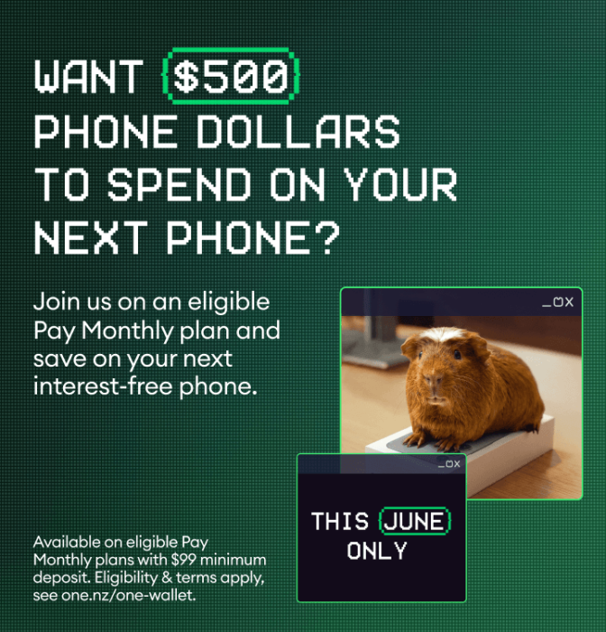 Want $500 phone dollars to spend on your next phone? Join us on an eligible Pay Monthly plan and save on your next interest-free phone.