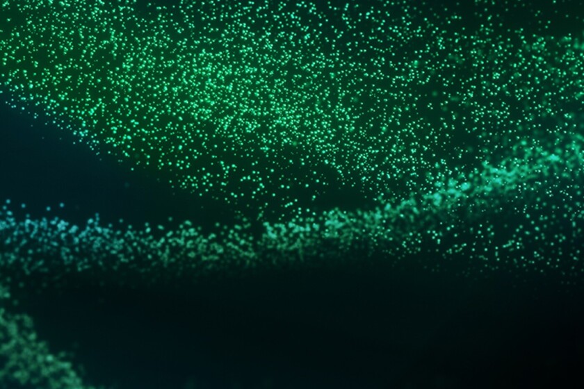 Abstract green background representing One NZ.