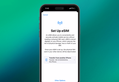 Step 2 of eSIM Quick Transfer on iPhone.