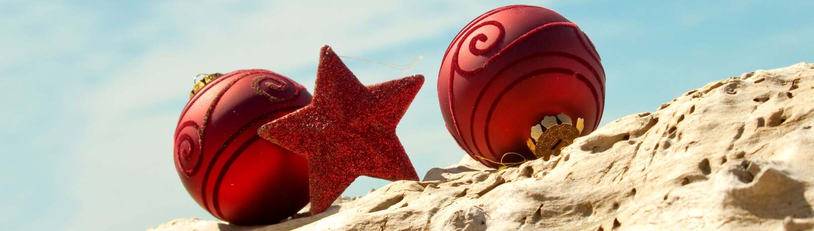 Kiwis’ data use reveals connected Christmas cheer