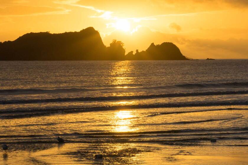 Opito Bay takes out top spot, again, for most connected holiday hotspot