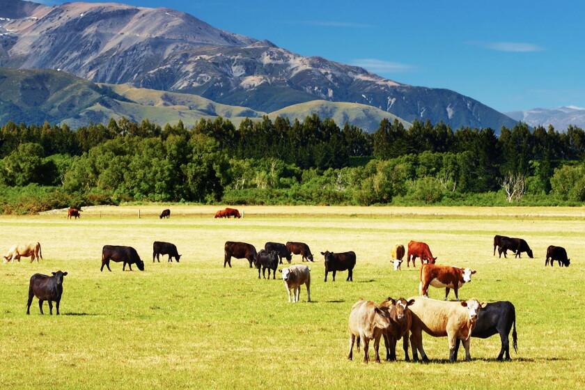 Bigger, faster Rural Broadband hits New Zealand